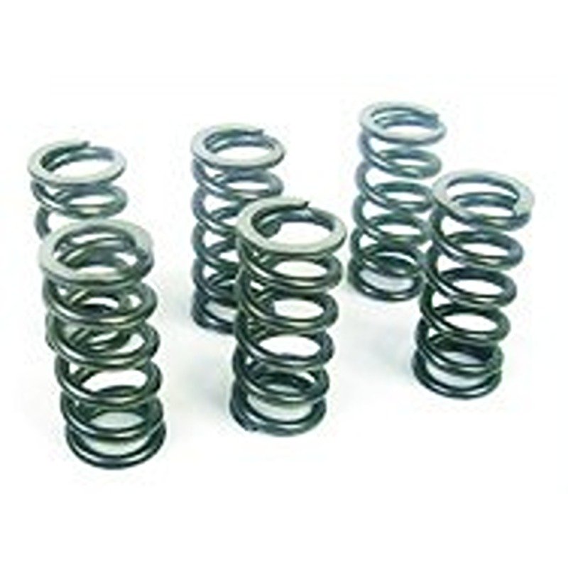 CLUTCH SPRING set of 6 - BS2 - UDAY