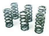 CLUTCH SPRING set of 6 - BS3 - UDAY